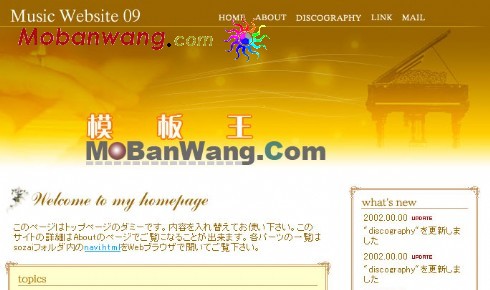 钢琴音乐会网站模板