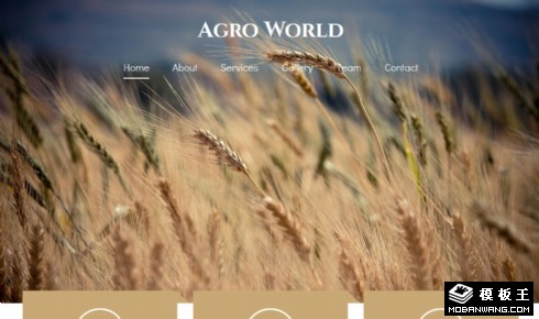 农业世界响应式网页模板