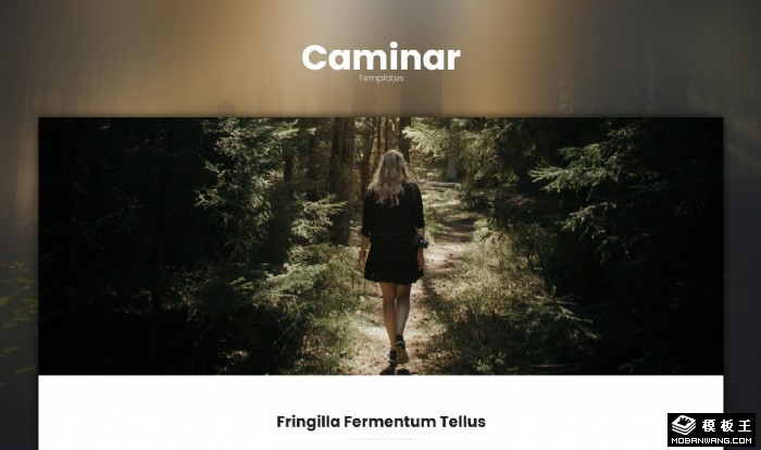 照片展示动态网页模板