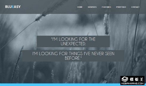 原始视野动态网页模板