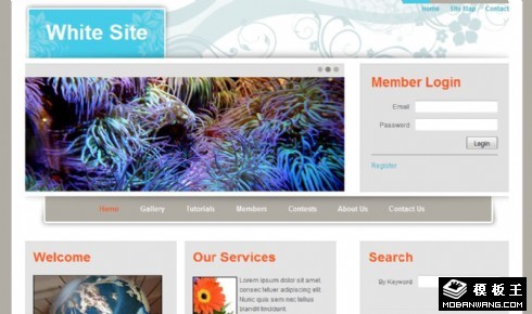 灰色信息服务展示网页模板