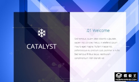 专题活动展示信息响应式网页模板