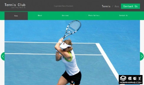 网球俱乐部动态响应式网页模板