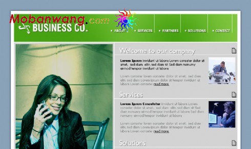 网络商务在线企业网站模板