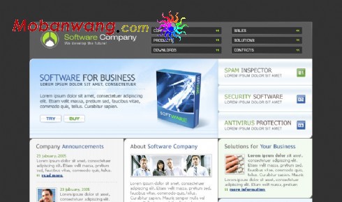 软件公司介绍网页模板
