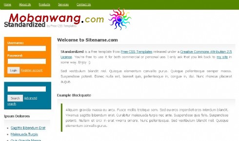 CSS标准服务信息网页模板