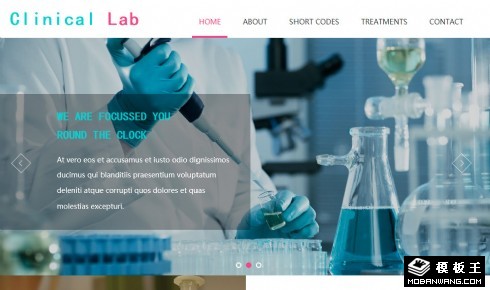 临床生物化学检验响应式网站模板