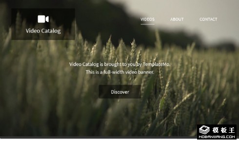 视频记录展示列表响应式网页模板