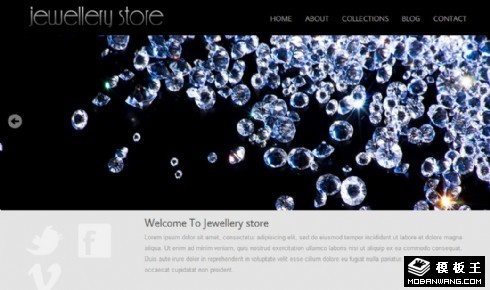 钻石戒指手镯网页模板