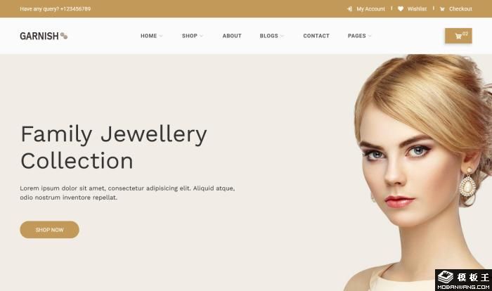 简约精品珠宝电商网站模板