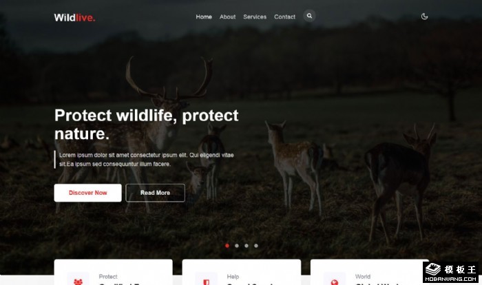 野生动物公益科普网页模板