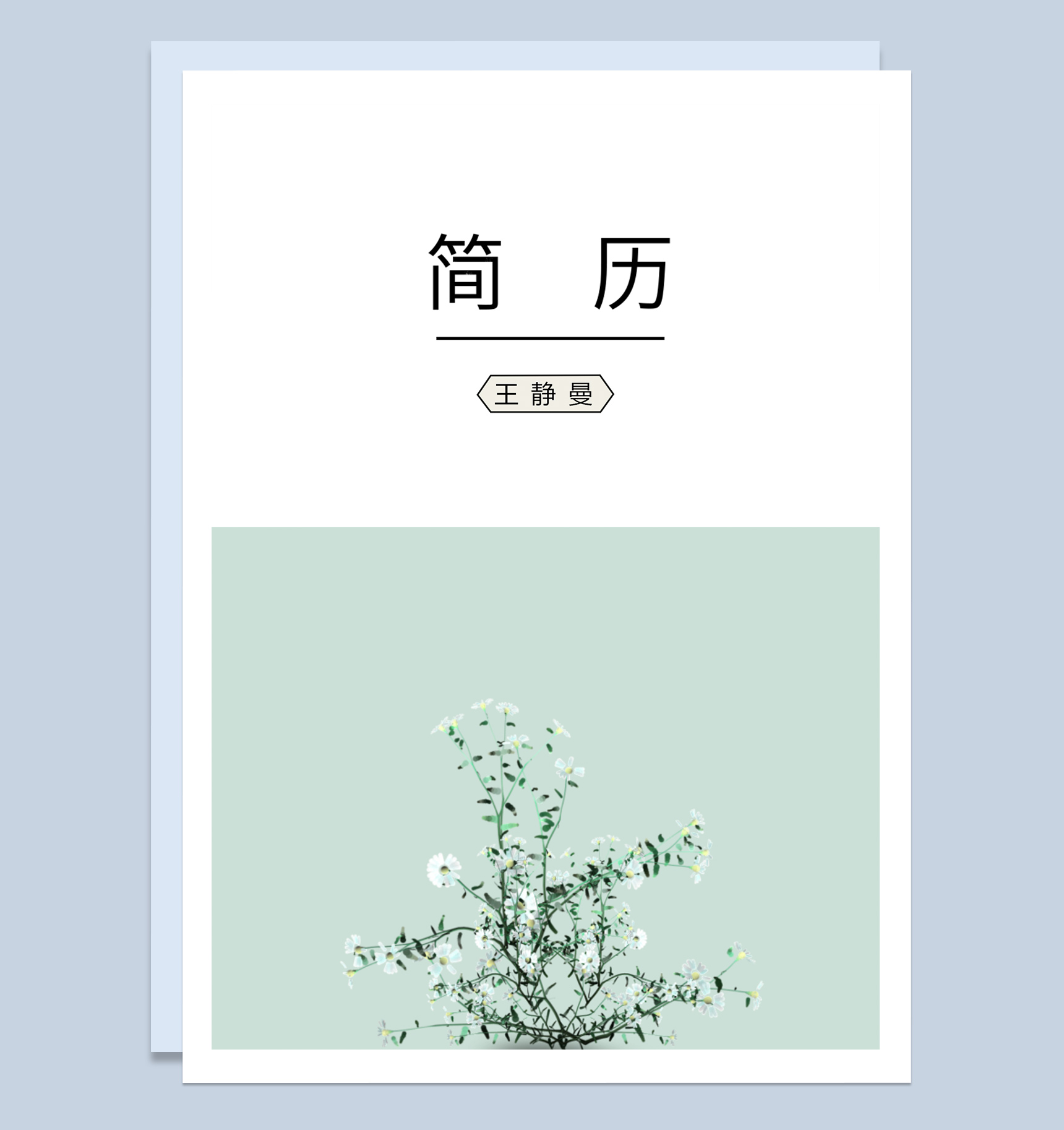 浅绿艺术气质成套设计师简历Word模板