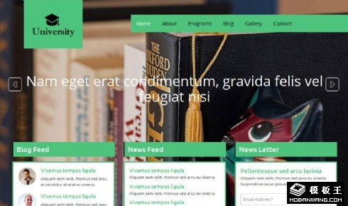 高校信息化平台响应式网站模板