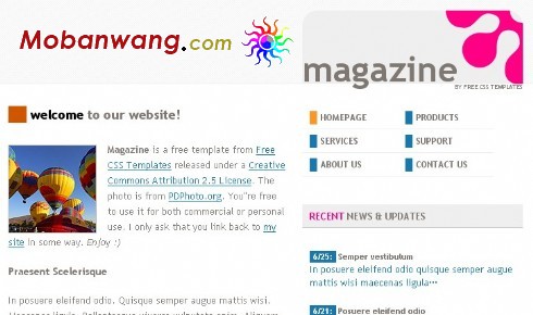 杂志信息网页模板