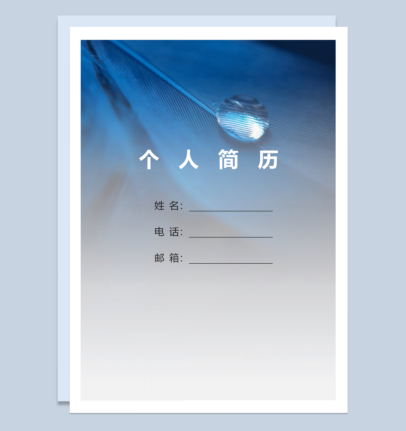 简约成套软件开发测试工作求职简历Word模板