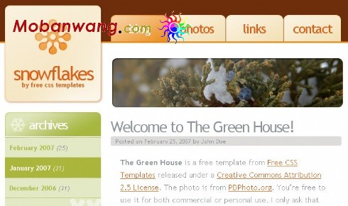 雪花日志信息网页模板