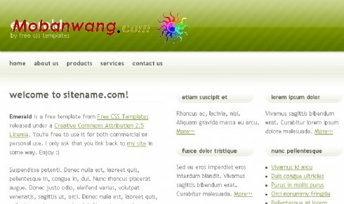 翠绿主题信息网页模板