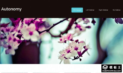 桃花景色信息网页模板