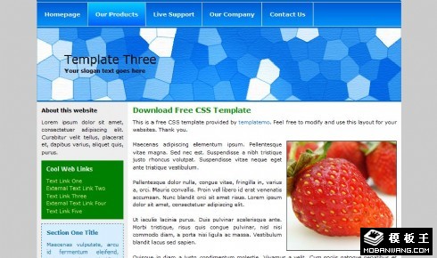 蓝色泳池马赛克EDM网页模板