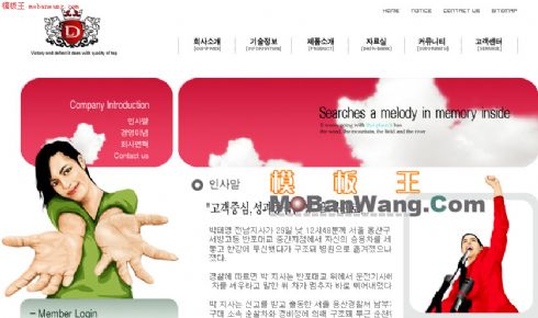 韩国女性的自由网页模板