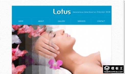 SPA护理项目介绍网页模板