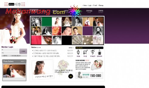 婚纱摄影展示网页模板