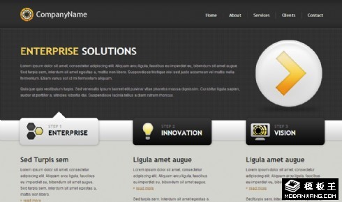 黑灰企业解决方案网站模板