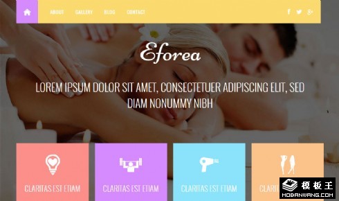 彩色水疗美容响应式网页模板