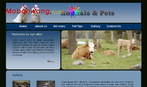 动物与宠物主题网页模板