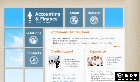 金融会计分析网页模板