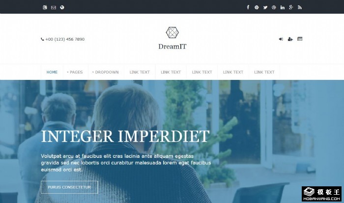 IT创意项目网页模板