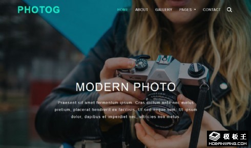摄影大师艺术动态自适应网站模板