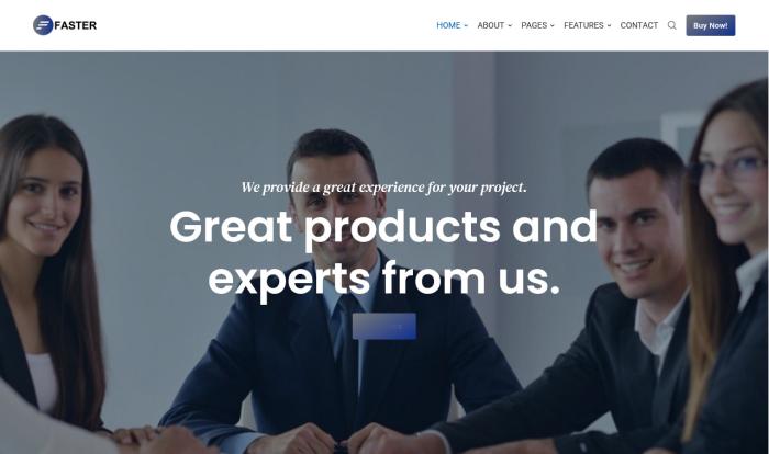 商业业务项目咨询展示网站模板