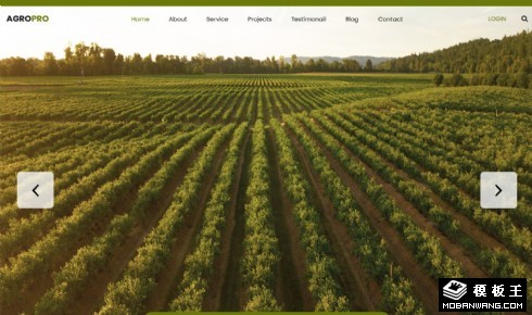 生态有机农场响应式网页模板
