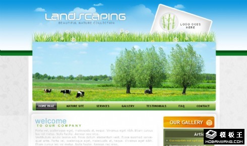 美丽的草原网页模板