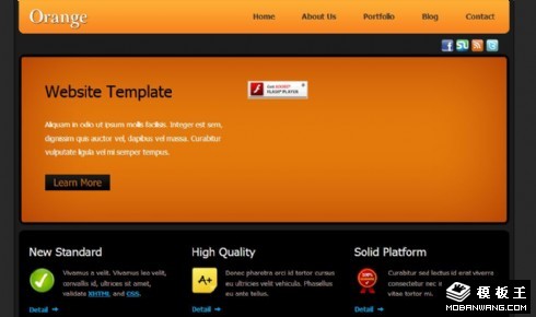 橙色项目服务展示网页模板