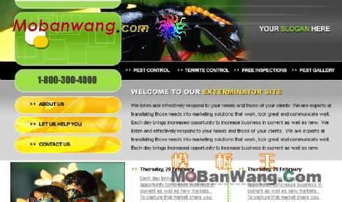 昆虫研究网站模板