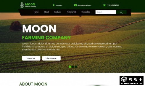 有机高粱农场网页模板