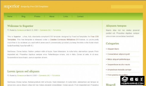 软件开发日志网页模板