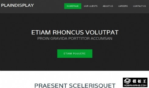 普通黑绿展示信息网页模板