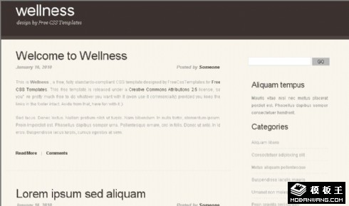 咖啡黄简洁BLOG网页模板