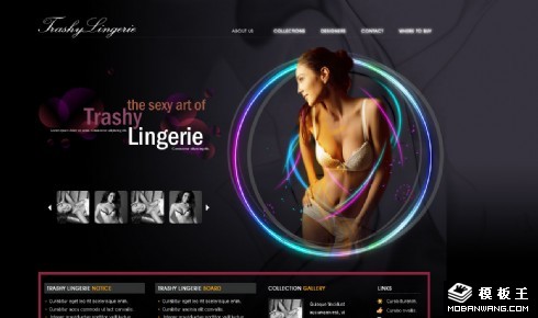 私密内衣店网页模板