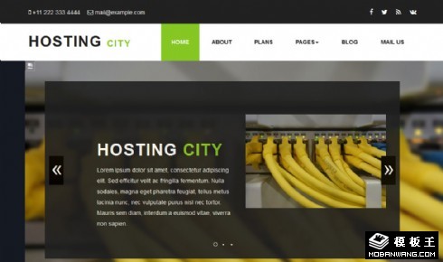 服务器主机服务企业网站模板