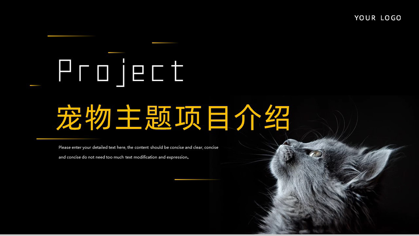 黑色简约萌宠宠物主题项目介绍PPT模板