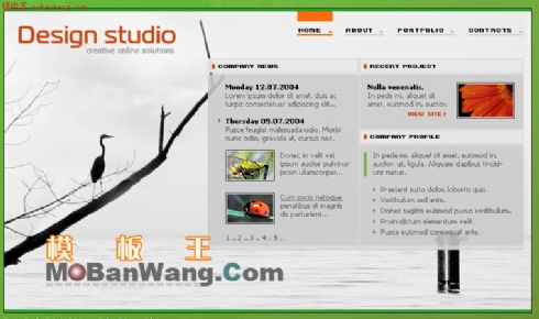 欧美动物世界模板