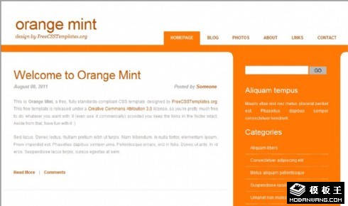 柳橙薄荷信息网页模板