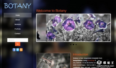 植物昆虫展示响应式网页模板