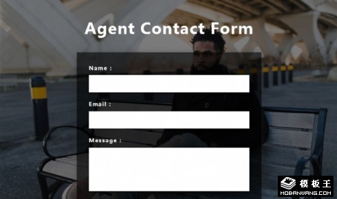 代理反馈表单网页模板