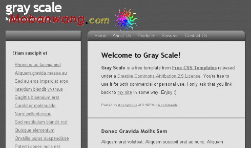 灰色文章信息网页模板