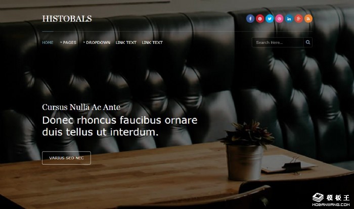 经典业务项目网页模板